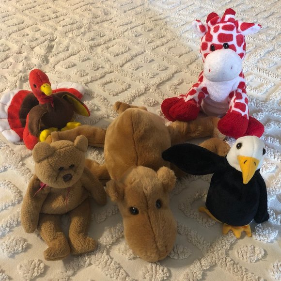 beanie baby buddies